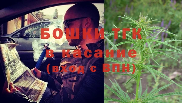 шишки Пестово