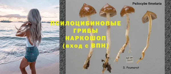 PSILOCYBIN Пересвет